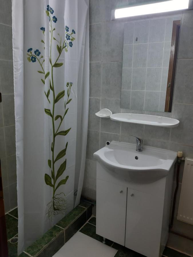 Casablanca Hostel Craiova Kültér fotó