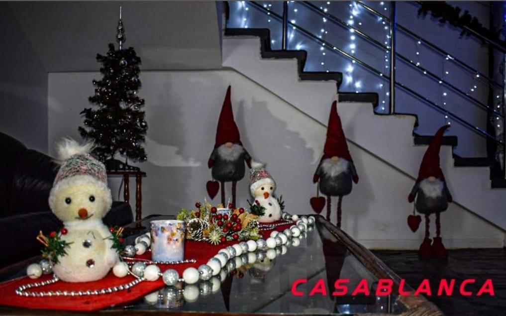 Casablanca Hostel Craiova Kültér fotó