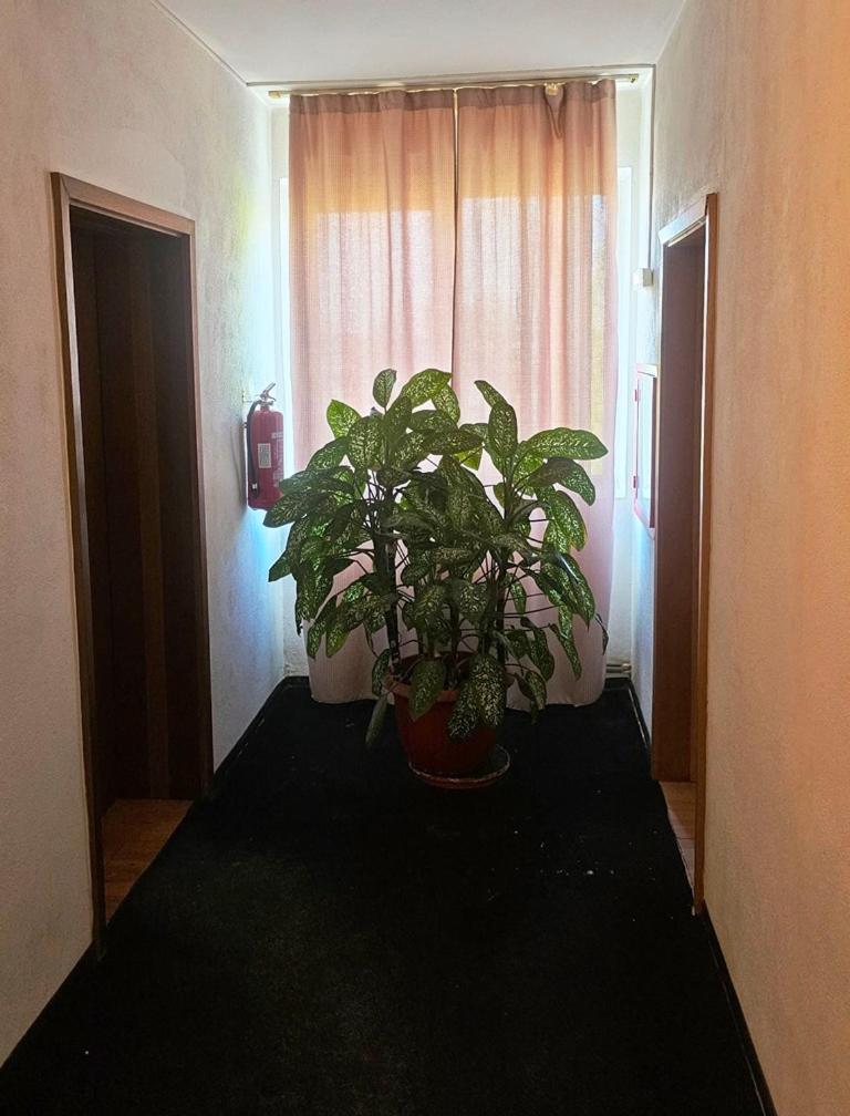 Casablanca Hostel Craiova Kültér fotó